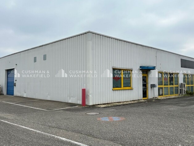 Location entrepôt / activités Mundolsheim Cushman & Wakefield