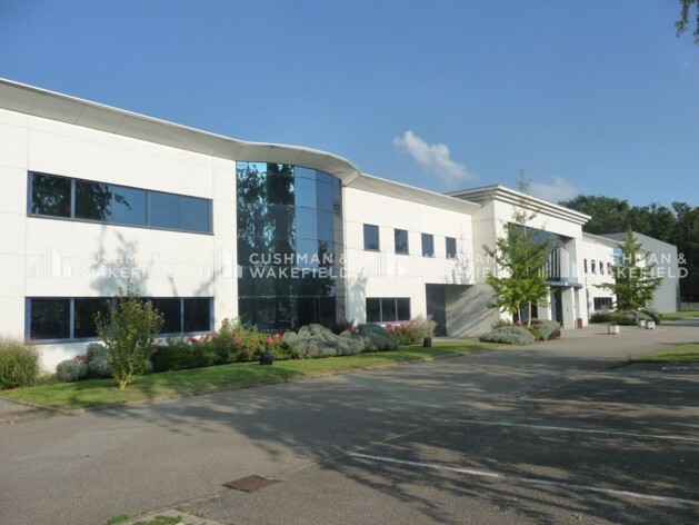 Location bureaux Eckbolsheim Cushman & Wakefield