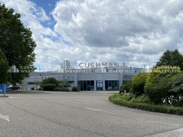 Achat entrepôt / activités Illkirch-Graffenstaden Cushman & Wakefield