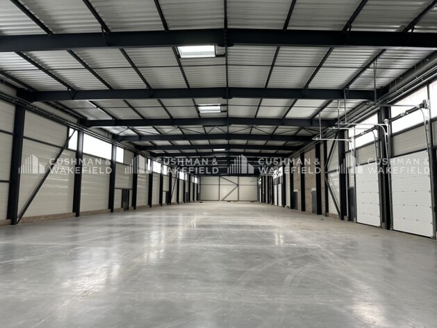 Location entrepôts / activités Geispolsheim Cushman & Wakefield