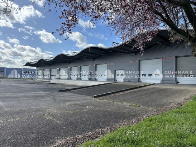 Location logistique Souffelweyersheim Cushman & Wakefield