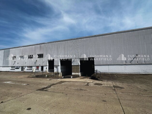 Location logistique Strasbourg Cushman & Wakefield