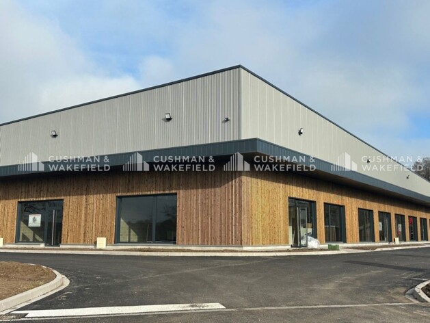 Achat entrepôts / activités Haguenau Cushman & Wakefield