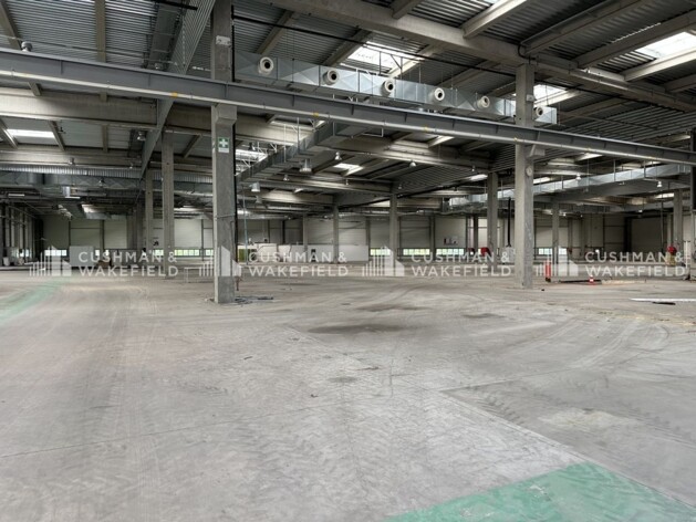 Location logistique Illkirch-Graffenstaden Cushman & Wakefield