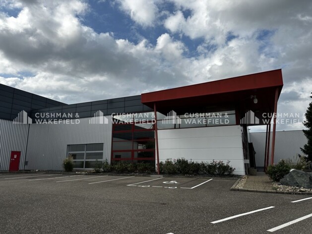 Location logistique Obernai Cushman & Wakefield