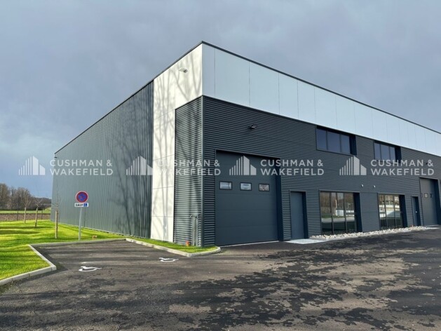 Location entrepôts / activités Mundolsheim Cushman & Wakefield