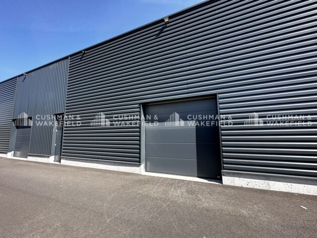 Location entrepôts / activités Reichstett Cushman & Wakefield