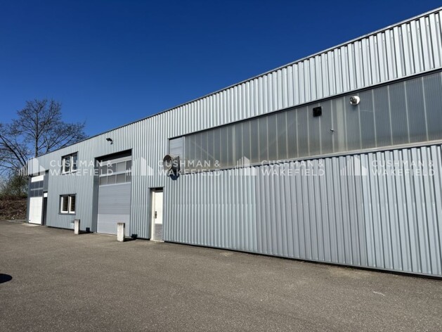 Achat entrepôts / activités Hoenheim Cushman & Wakefield