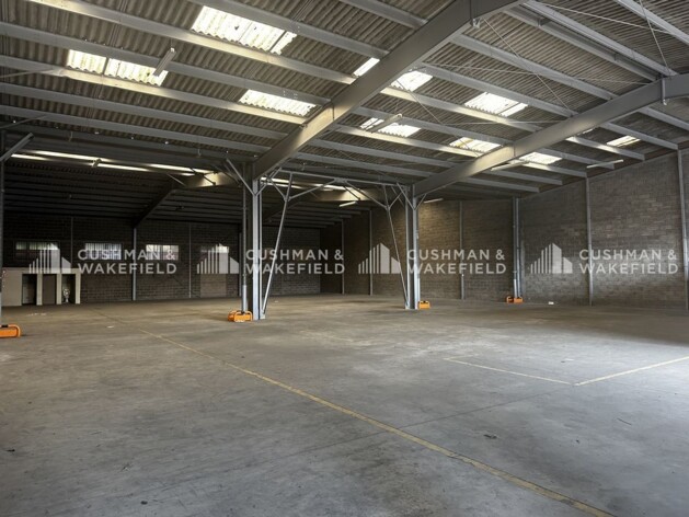 Location logistique Eckbolsheim Cushman & Wakefield