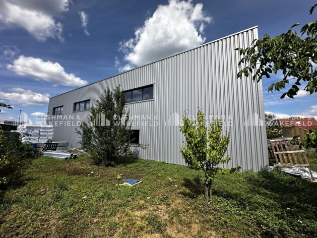 Location entrepôts / activités Schiltigheim Cushman & Wakefield