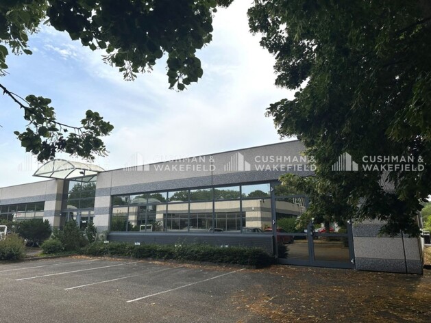Achat bureaux Illkirch-Graffenstaden Cushman & Wakefield