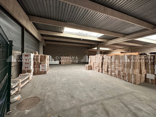 Location entrepôts / activités Strasbourg Cushman & Wakefield