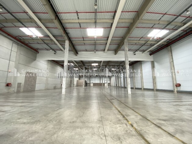 Location logistique Strasbourg Cushman & Wakefield
