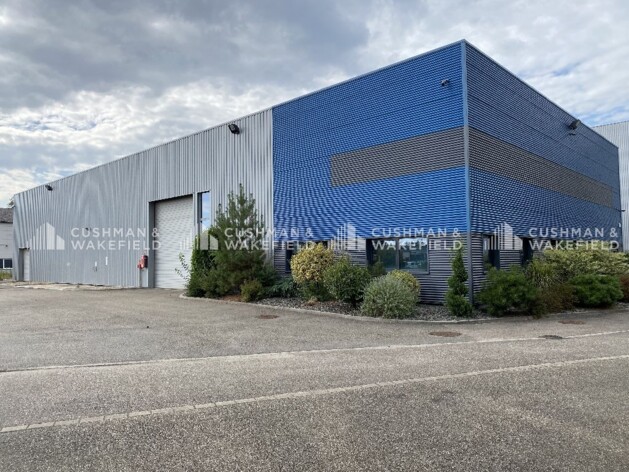 Location entrepôts / activités Haguenau Cushman & Wakefield
