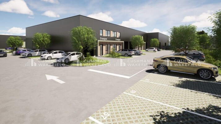 Achat entrepôts / activités Ittenheim Cushman & Wakefield