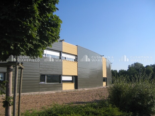 Location entrepôts / activités Altorf Cushman & Wakefield