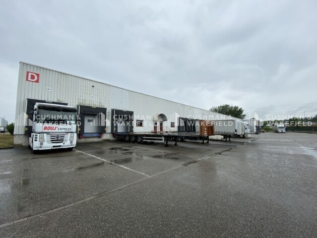 Location logistique Strasbourg Cushman & Wakefield