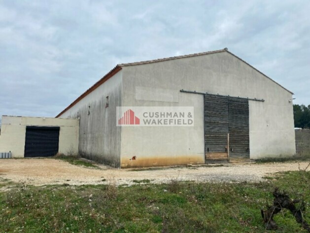 Achat entrepôt / activités Orthoux-Sérignac-Quilhan Cushman & Wakefield
