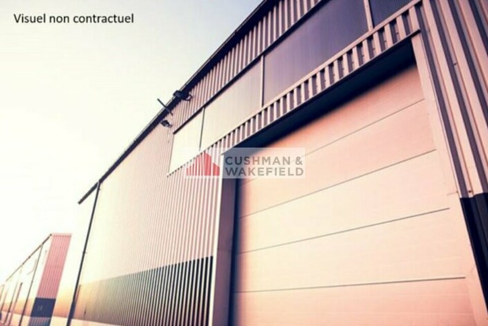 Achat entrepôt / activités Vauvert Cushman & Wakefield