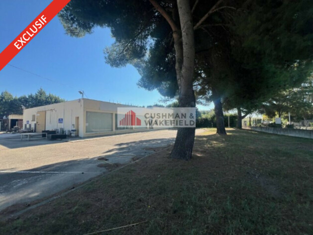 Achat entrepôts / activités Nîmes Cushman & Wakefield