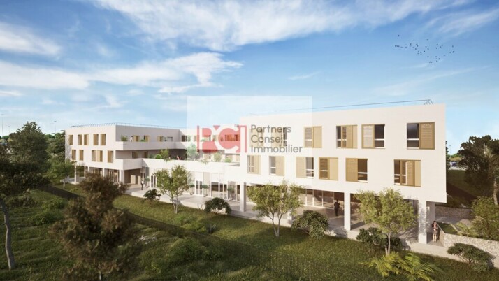 Achat commerces Lattes Cushman & Wakefield
