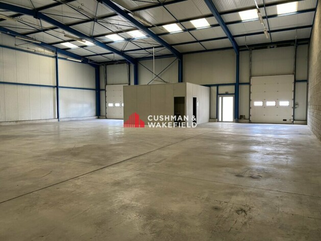 Location entrepôt / activités Escalquens Cushman & Wakefield