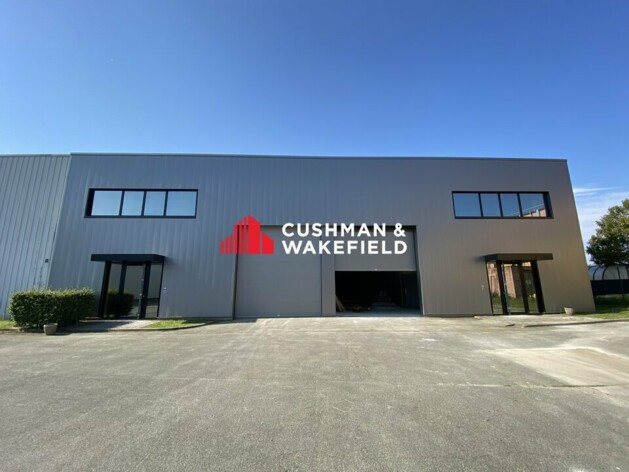 Location entrepôts / activités Toulouse Cushman & Wakefield