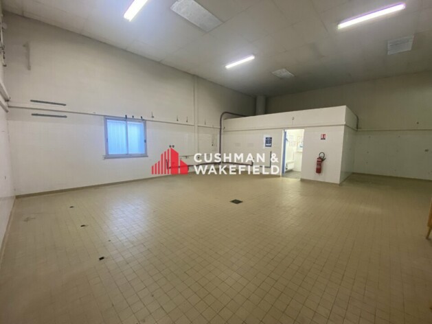 Location entrepôts / activités Toulouse Cushman & Wakefield