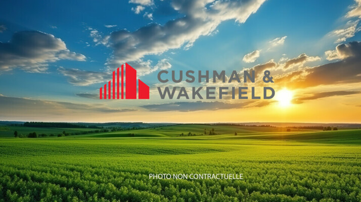 Achat terrains Villeneuve-Tolosane Cushman & Wakefield