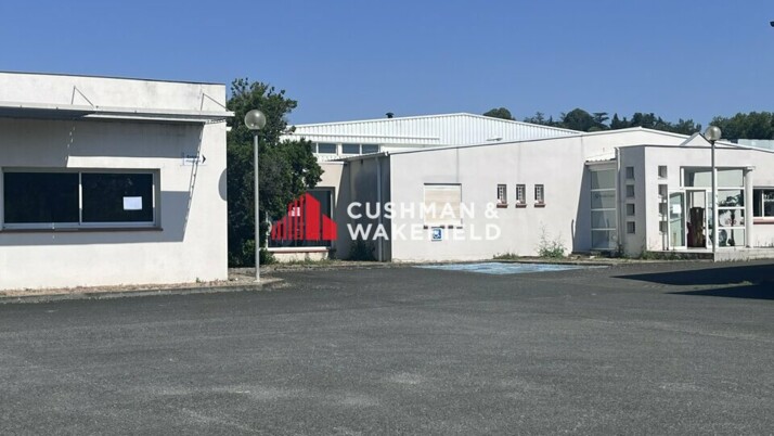 Achat entrepôt / activités Castres Cushman & Wakefield