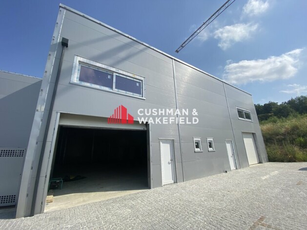 Location entrepôts / activités Grisolles Cushman & Wakefield