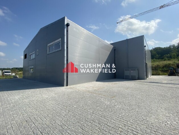 Achat entrepôts / activités Grisolles Cushman & Wakefield