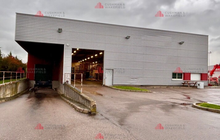 Location entrepôts / activités Dijon Cushman & Wakefield