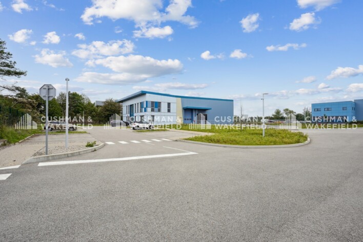 Achat entrepôts / activités Saint-Vulbas Cushman & Wakefield