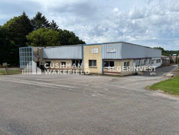 Achat entrepôts / activités Pirey Cushman & Wakefield