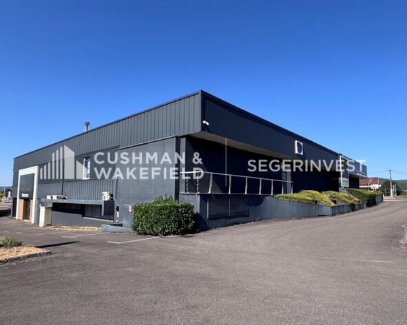 Achat commerces Perrigny-lès-Dijon Cushman & Wakefield