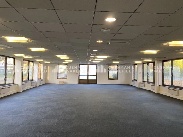 Location bureaux Lingolsheim Cushman & Wakefield