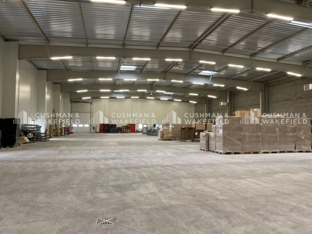 Location logistique Obernai Cushman & Wakefield