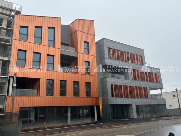 Achat bureaux Haguenau Cushman & Wakefield