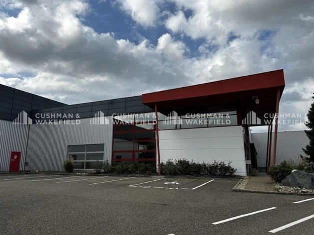 Location logistique Obernai Cushman & Wakefield