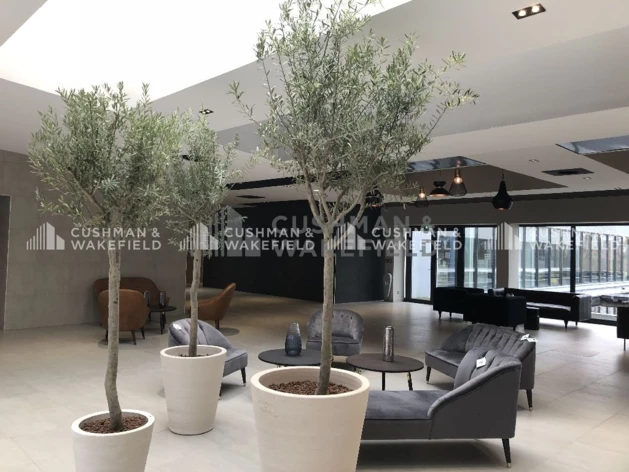 Location bureaux Illkirch-Graffenstaden Cushman & Wakefield