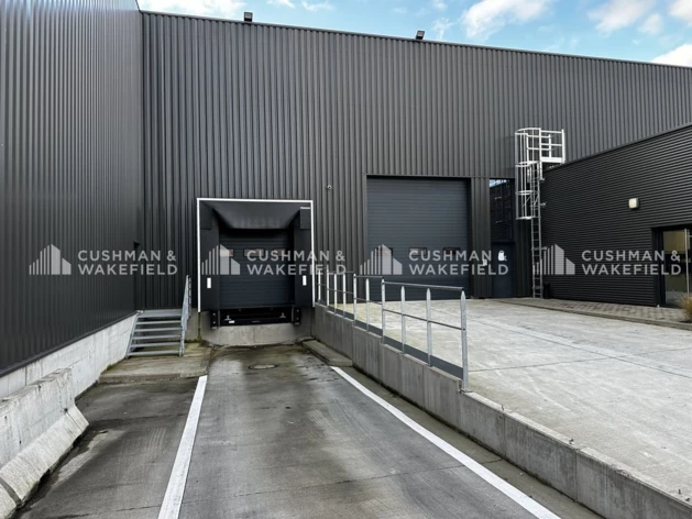 Achat ou Location logistique Reichstett Cushman & Wakefield