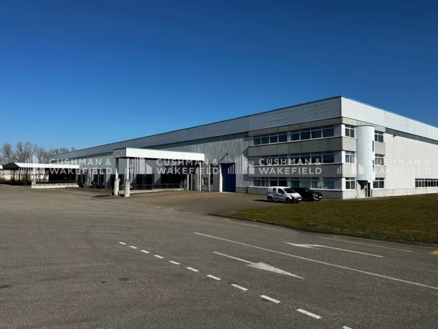Location logistique Strasbourg Cushman & Wakefield