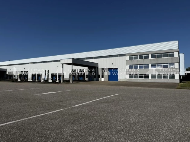 Location logistique Strasbourg Cushman & Wakefield