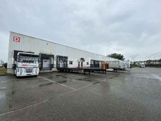 Location logistique Strasbourg Cushman & Wakefield
