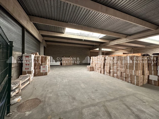 Location entrepôts / activités Strasbourg Cushman & Wakefield