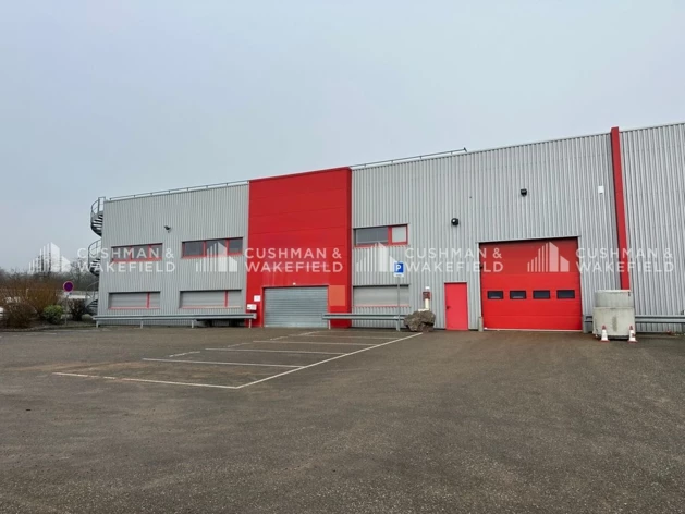 Location entrepôts / activités Obernai Cushman & Wakefield