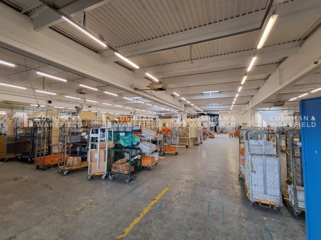 Achat entrepôts / activités Schiltigheim Cushman & Wakefield