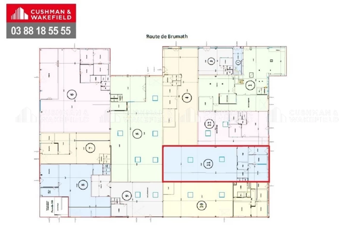 Location entrepôts / activités Vendenheim Cushman & Wakefield