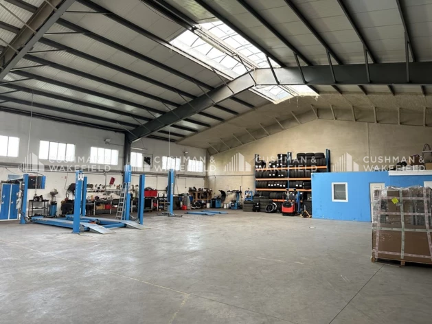 Location entrepôts / activités Lingolsheim Cushman & Wakefield